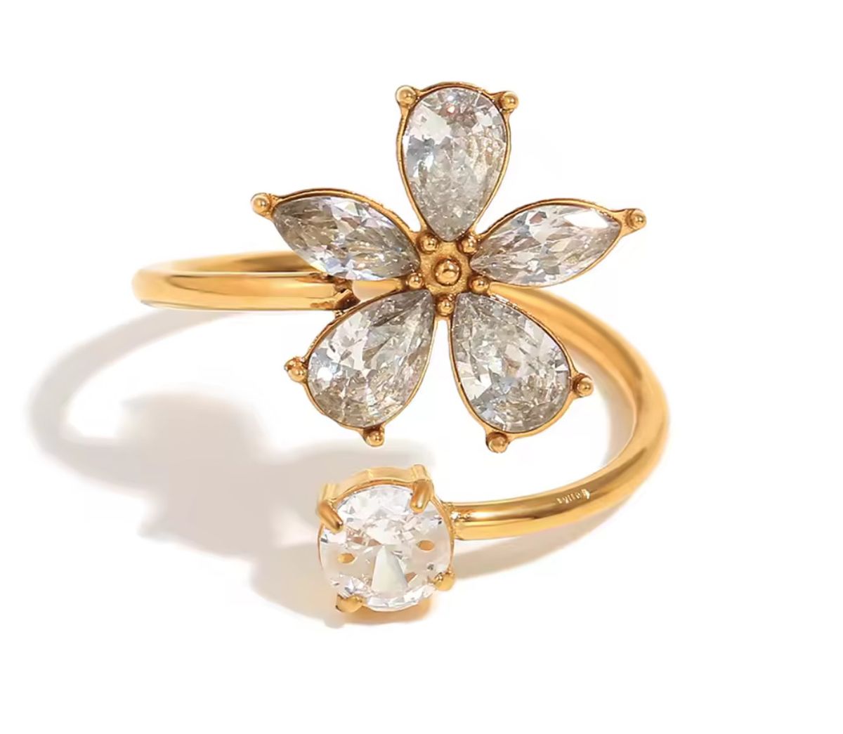 Anillos