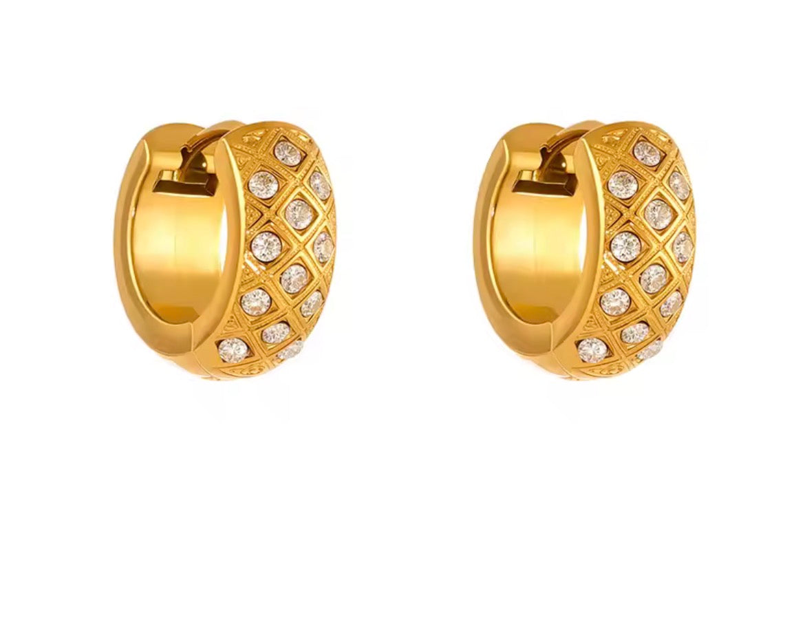 Rocio hoops