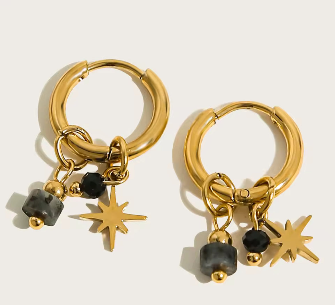 Zani earrings