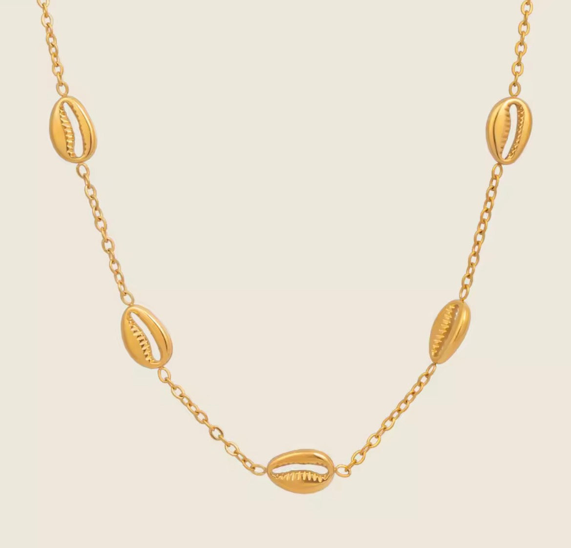 Shell necklace
